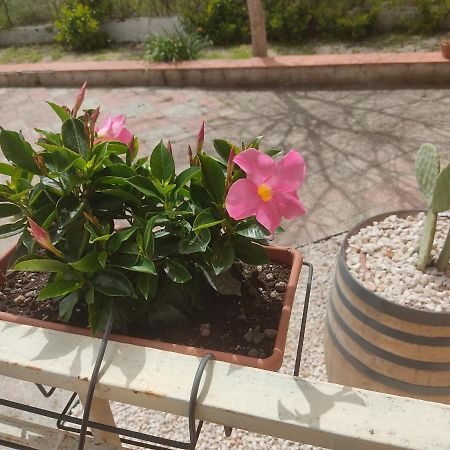 B&B Lara Santola Corato Buitenkant foto
